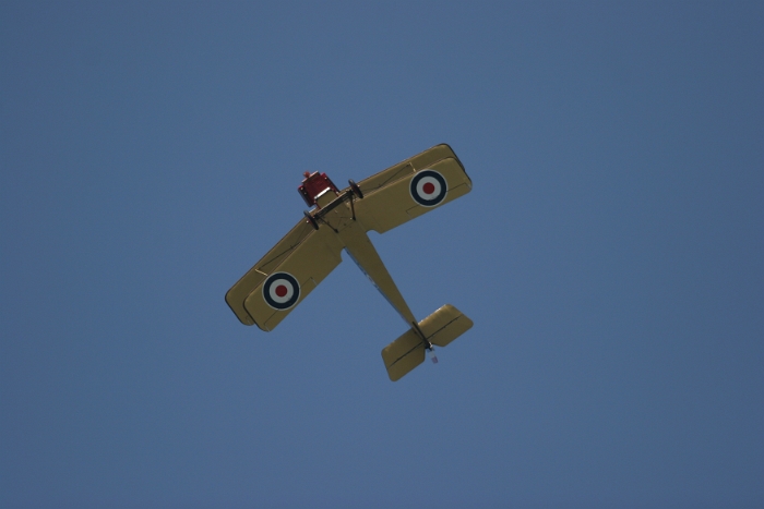 Royal Factory SE-5A - 001